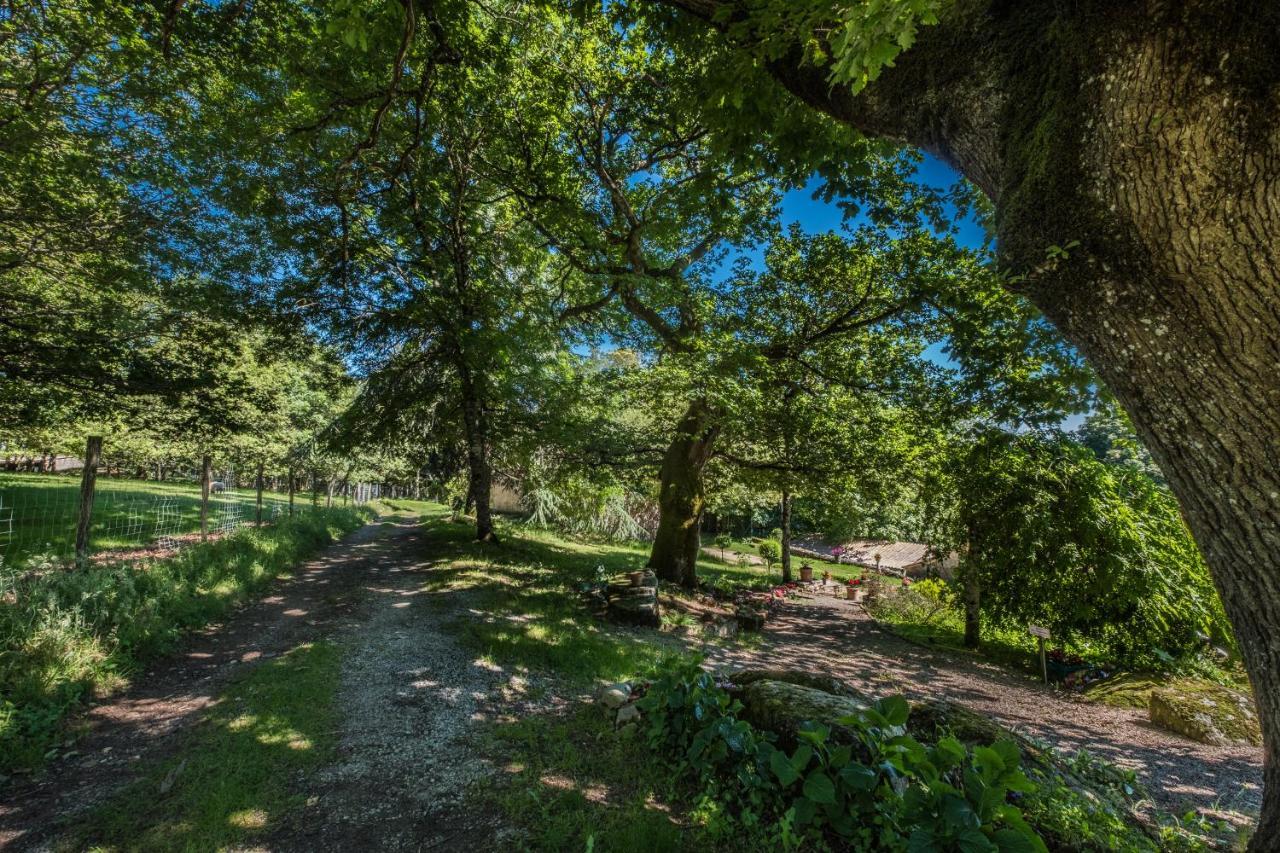 Hotel Domaine De Malouzies Fonties-Cabardès Zewnętrze zdjęcie