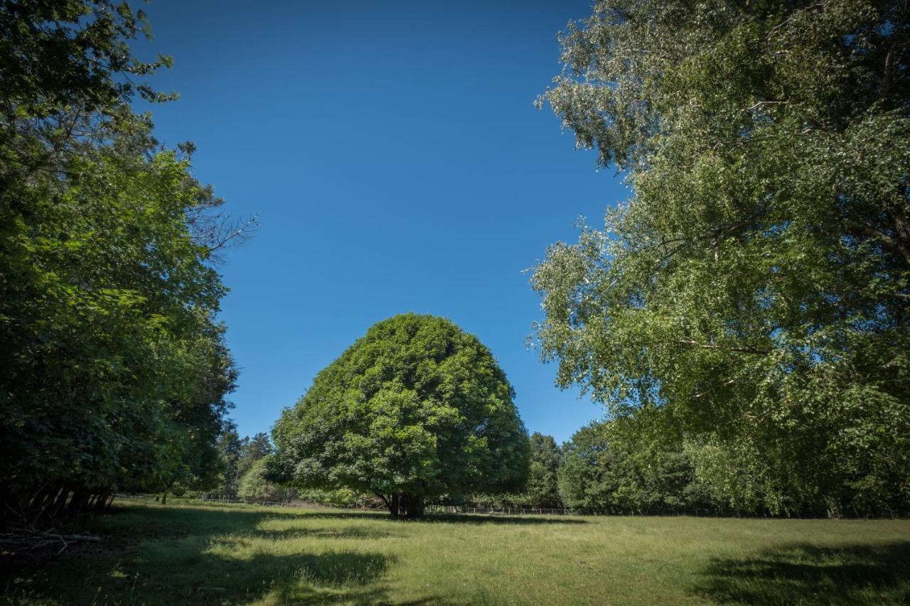 Hotel Domaine De Malouzies Fonties-Cabardès Zewnętrze zdjęcie